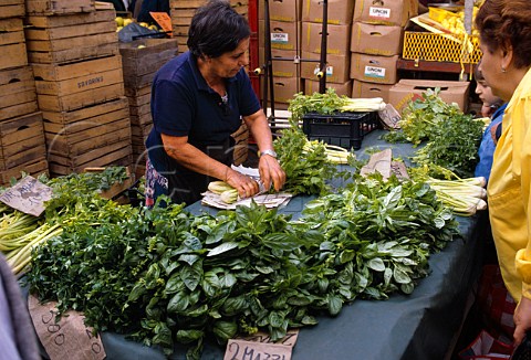 Basil and parsley on sale in the market   Turin Piemonte Italy