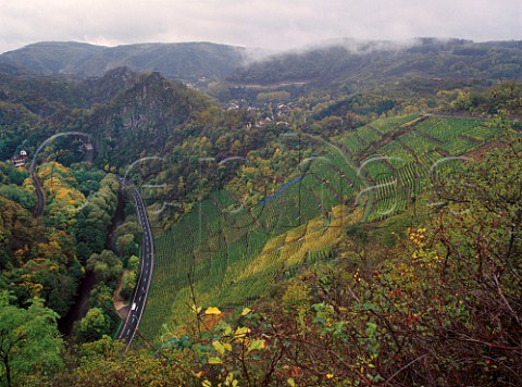 Vineyards in the Ahr Valley at Altenahr    Germany  Ahr