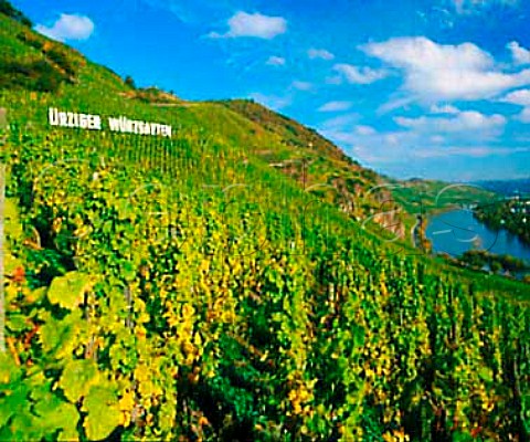 Sign in rziger Wrzgarten vineyard with the Mosel   River below  Germany  Mosel