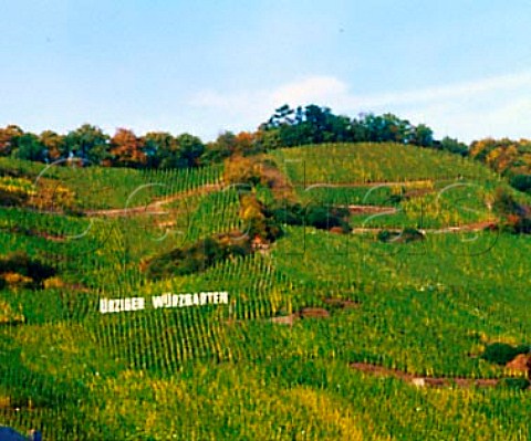 Sign in rziger Wrzgarten vineyard  rzig   Germany  Mosel