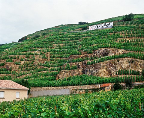 La Mouline vineyard of Guigal Ampuis Rhne   France Cte Rtie
