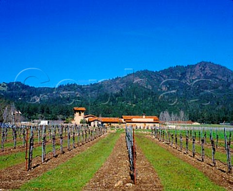 St Francis Wine Center Kenwood Sonoma Co   California    Sonoma Valley