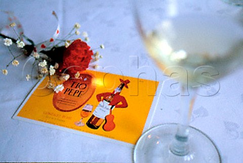 Glass of Tio Pepe fino sherry with   postcard Jerez Andaluca Spain     Sherry