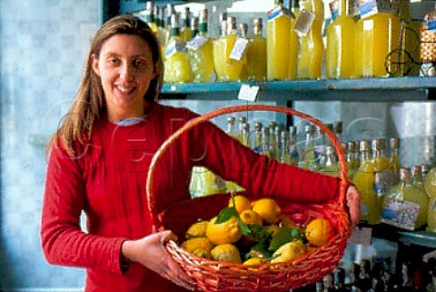 Alessandra with basket of Amalfi lemons  for making Liquore al Limone in the  Profumi della Costiera Ravello   Campania Italy