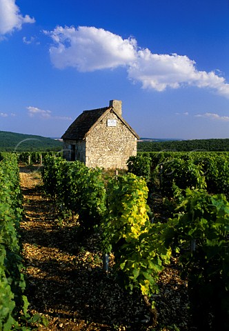 Workers refuge in Domaine la Moussire   vineyard of Alphonse Mellot Sancerre   Cher France   Sancerre