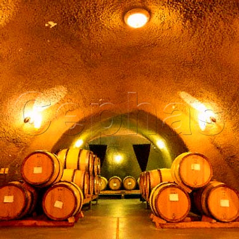 Barrel cellar of Archery Summit near Dundee   Oregon USA        Willamette Valley