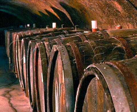 Barrels in the cellars of Weingut Max Ferd Richter   Mlheim Germany  Mosel