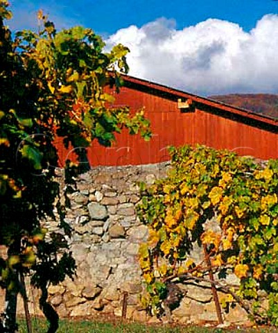 Red barn in Chasselas vineyard near Gilly   Vaud Switzerland      La Cte