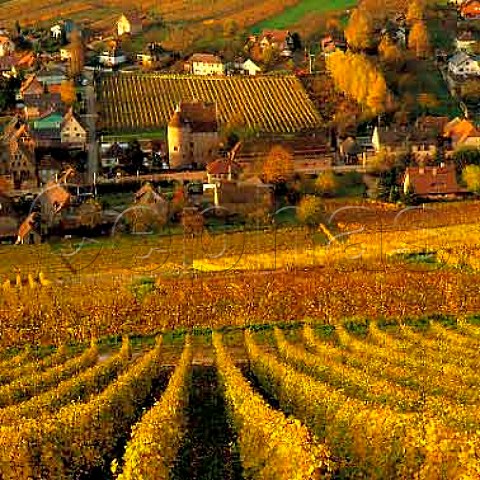 View from the Grand Cru Zinnkoepfl vineyard to the   village of Soultzmatt including Chteau Wagenbourg   and the winery of Joseph  Jackie Klein   HautRhin France       Alsace