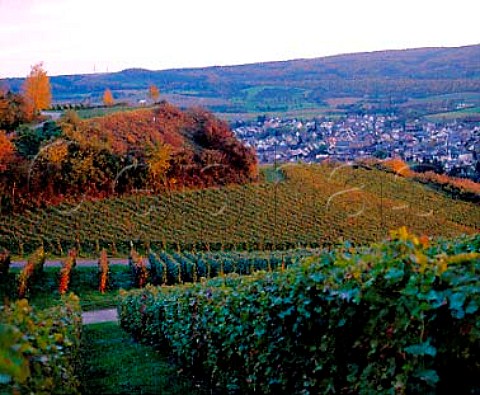Burggarten einzellage overlooking Heppingen Ahr   valley Germany  Ahr