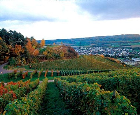 Burggarten einzellage overlooking Heppingen Ahr   valley Germany  Ahr