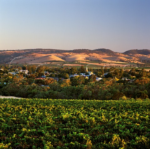 Tanunda surrounded by vineyards in the   Barossa Valley South Australia
