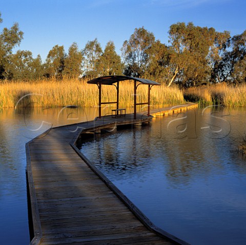 The Boardwalk Trail at Banrock Station   Wine  Wetlands Centre KingstononMurray   South Australia    Riverland