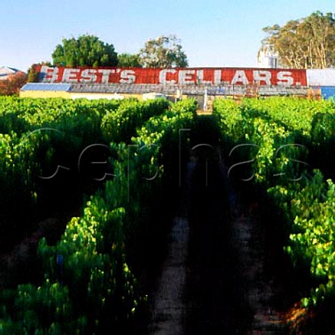 Vineyard and winery of Bests Wines Great Western   Victoria Australia   Grampians