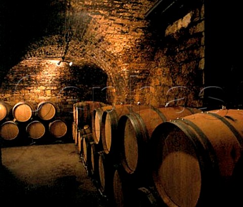 Oak barriques used for ageing Sptburgunder   Pinot Noir in the cellars of Weingut Robert Weil   Kiedrich  Germany    Rheingau