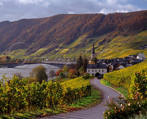 Piesport village and StMichaels church surrounded by the Goldtrpfchen vineyard Germany  Mosel