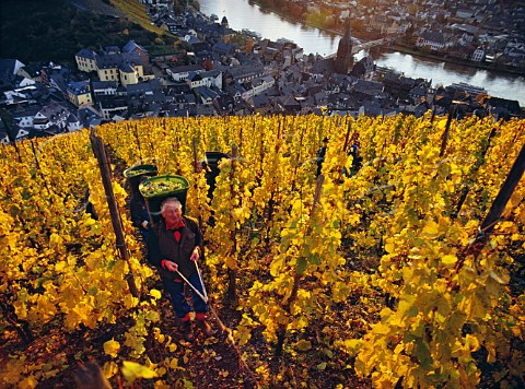 Winching hod carriers up the steep Doctor vineyard of Weingut Wegeler above the Mosel River at BernkastelKues  Germany Mosel    