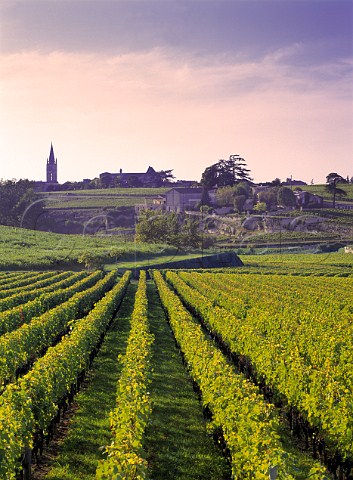 View over vineyard of Chteau TroplongMondot to Stmilion Gironde France     Stmilion  Bordeaux