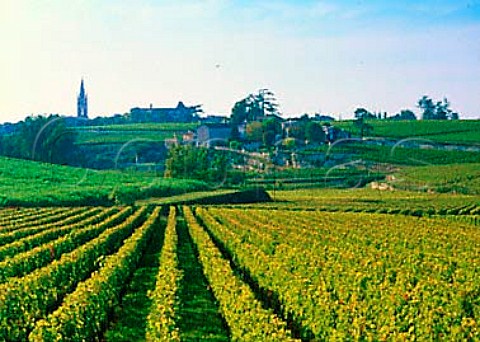 View over vineyard of Chteau Troplong Mondot   to  Stmilion Gironde France     Stmilion  Bordeaux