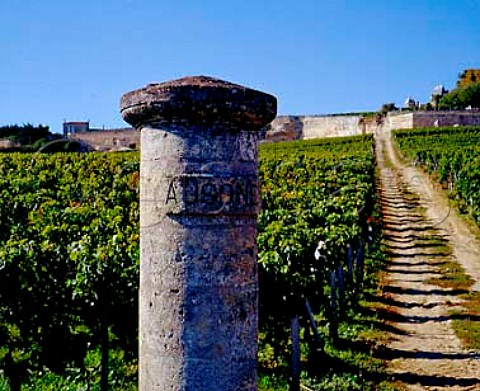Stone pillar below vineyard of Chteau Ausone    Stmilion Gironde France   Stmilion  Bordeaux