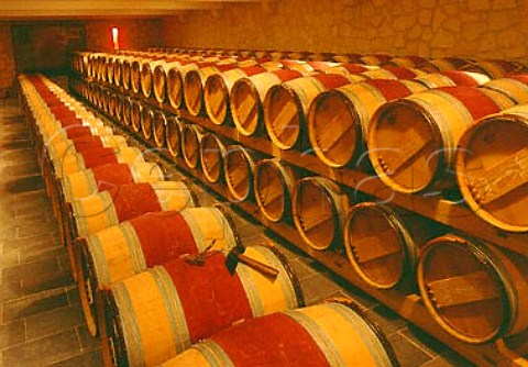 Barrel cellar of Chteau Anglus Stmilion   Gironde France      Stmilion  Bordeaux