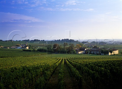 Chteau Anglus viewed from its vineyard    Stmilion Gironde France        Stmilion  Bordeaux