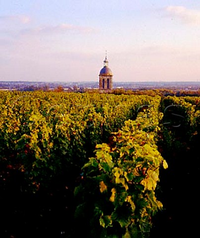 Clos de Bourg vineyard of Gaston Huet with the tower   of Vouvray church beyond   Vouvray IndreetLoire France