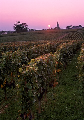 Sunset over vineyard of Chteau Troplong   Mondot with the church of Stmilion in   the distance Gironde France   Stmilion  Bordeaux