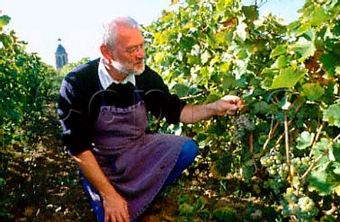 Nol Pinguet in Clos du Bourg vineyard   of Gaston Huet Vouvray IndreetLoire   France   Vouvray