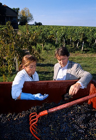 Fiona Thienpont and winewriter Steven   Spurrier examine harvested Merlot grapes   at Chteau Le Pin Pomerol Gironde   France     Pomerol  Bordeaux