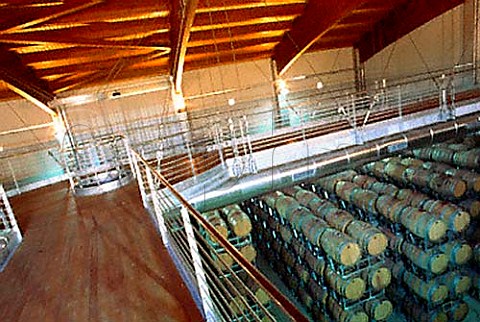 Barrel room of Terre da Vino Barolo    Piemonte Italy