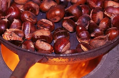 Roasting chestnuts on a brazier  Alba Piemonte Italy