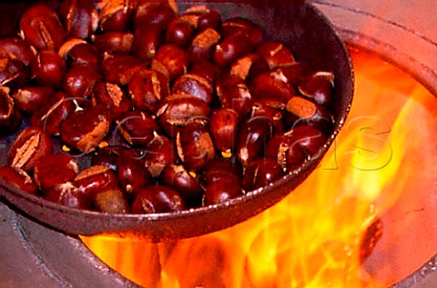 Roasting chestnuts on a fire  Piemonte Italy