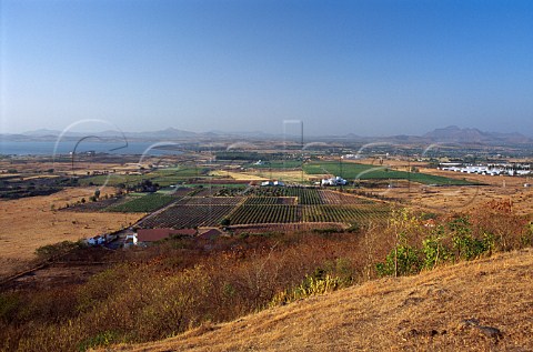 View over Sula Vineyards and winery   Nasik Maharashtra province India