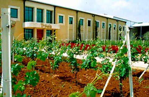 Winery of Tanal Property makers of   Massaya wine    Bekaa Valley Lebanon