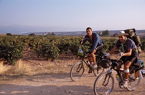 Pilgrims cycling the Camino de Santiago   at Navarette through where the route   passes   La Rioja Spain   Rioja Alta