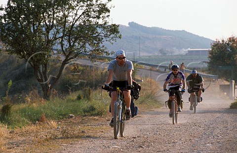Pilgrims cycling the Camino de Santiago   at Navarette La Rioja Spain   Rioja Alta