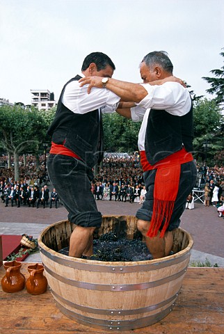 Ceremonial treading of the grapes takes   place in the Plaza del Espolon during   the weeklong Wine Festival of San Mateo   in Logroo  La Rioja Spain   Rioja
