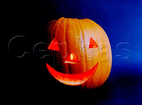 Lit carved pumpkin