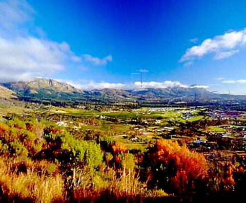 View over the Constantia Valley to the   Constantiaberg mountain Cape Province   South Africa