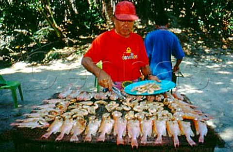 Cooking seafood on the beach   Kota Kinabalu Borneo Malaysia