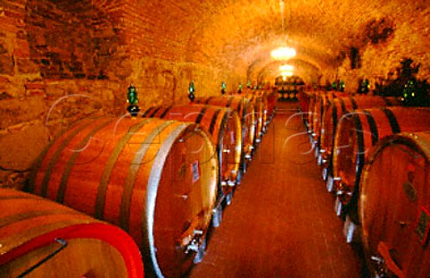 Barrel cellars of Vignamaggio   Greve in Chianti Tuscany Italy   Chianti Classico
