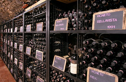 Bottle cellar of Castello di Ama Lecchi in Chianti Tuscany Italy Chianti Classico