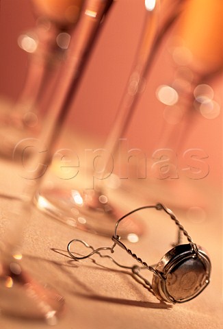 Wire cage from Champagne bottle with glasses