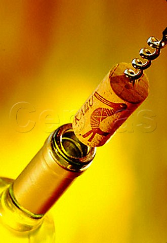 Removing cork from bottle of Kanu wine   Stellenbosch South Africa