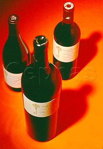 Bottles of wine from members of the   Cape Winemakers Guild South Africa
