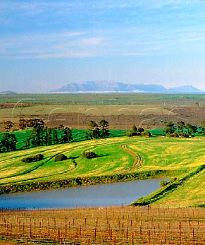View from Groote Post Vineyards in the    Darling Hills Darling Swartland South Africa    Groenekloof