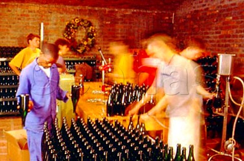 Bottling sparkling wine at   Ambeloui Wine Cellar Hout Bay   Constantia South Africa