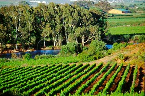Vineyard and winery of Viljoensdrift   Wines Robertson South Africa