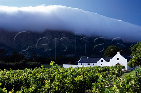 Boekenhoutskloof vineyard Franschhoek South Africa   Paarl